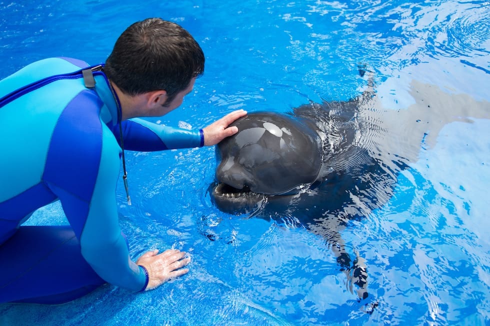 SeaWorld Orlando hosting ‘Inside Look’ at animal experts’ daytoday care
