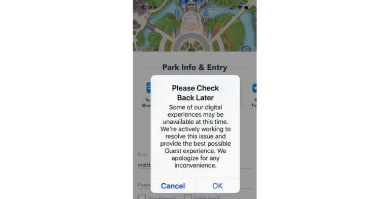 Temporary systems outage affects Disney Parks, Disney Cruise Line