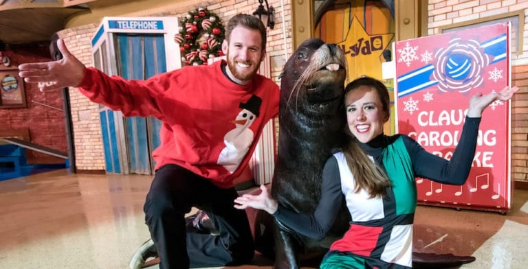 SeaWorld San Diego’s Christmas Celebration offers much to ‘sea’ and do
