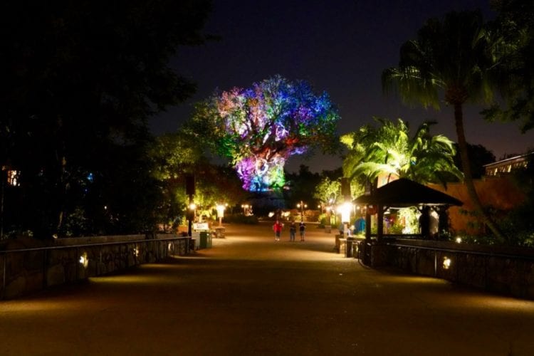 tree of life at night