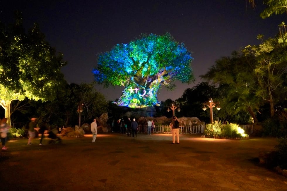 Review of Disney After Hours event at Animal Kingdom