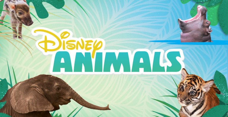 DisneyNOW app features new Disney Animals videos