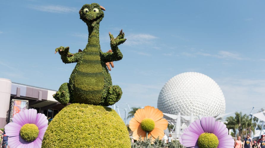 flower & garden