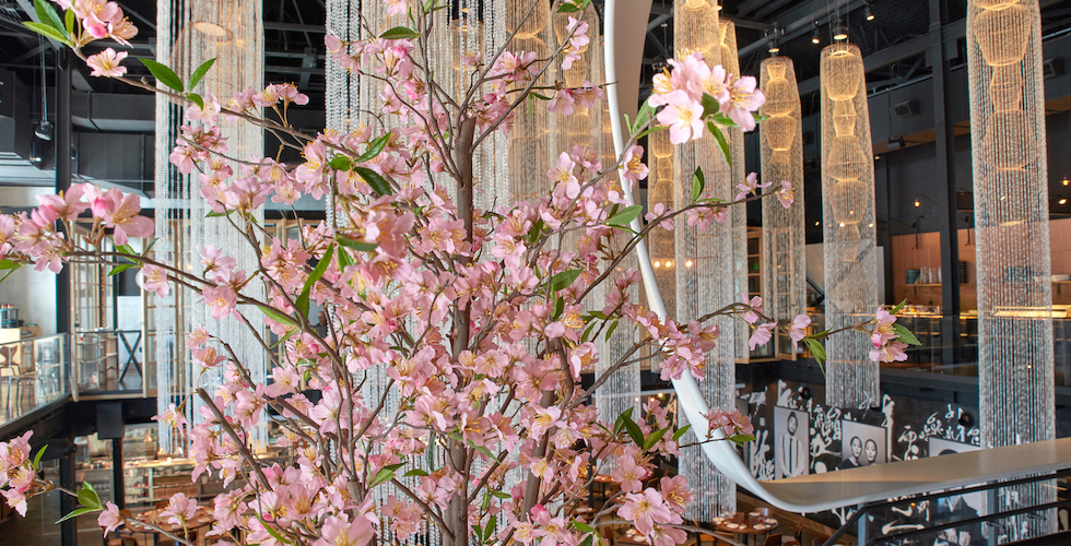 Morimoto Asia Sakura Festival