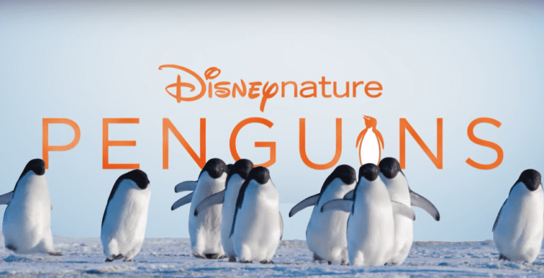 Movie Review: Disneynature’s ‘Penguins’ offers light-hearted alternative to typical documentary