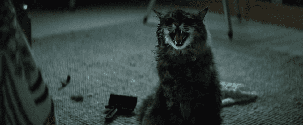 pet sematary