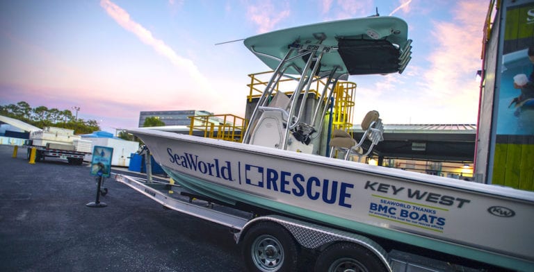 SeaWorld Orlando adds new locations to Inside Look Weekends