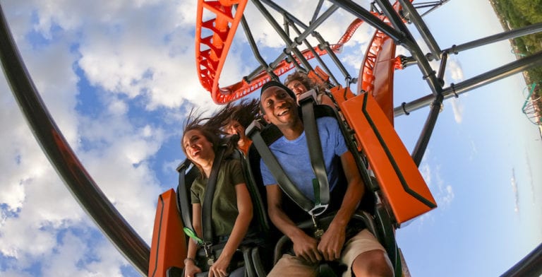 Tigris opening date announced for Busch Gardens Tampa Bay