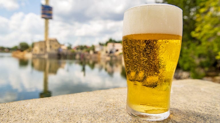 Free beer back for the summer at SeaWorld Orlando