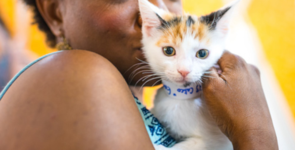CatCon 2019 kitten adoptee