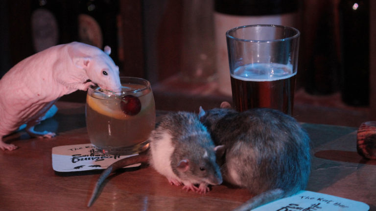 The San Francisco Dungeon to open Rat Bar June 13-15
