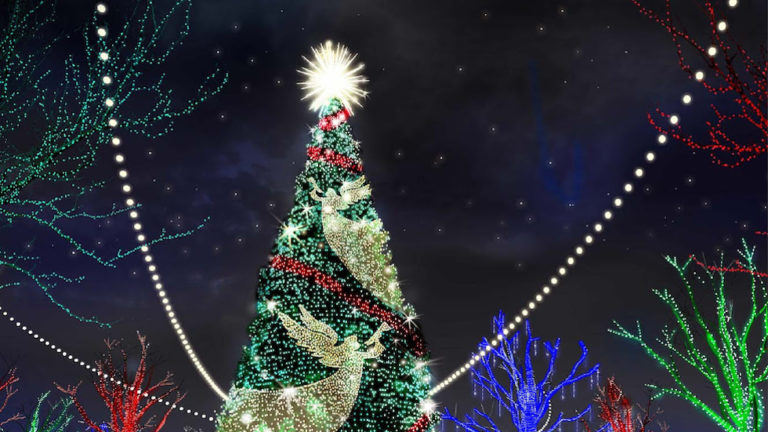 ‘Biggest-of-its-kind’ Christmas tree to debut at Silver Dollar City