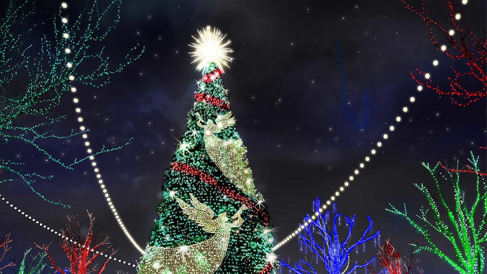  Biggest of its kind Christmas Tree To Debut At Silver Dollar City