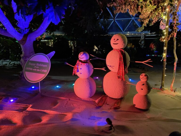 ‘Living with the Land: Merry and Bright Nights’ to debut at Epcot International Festival of the Holidays