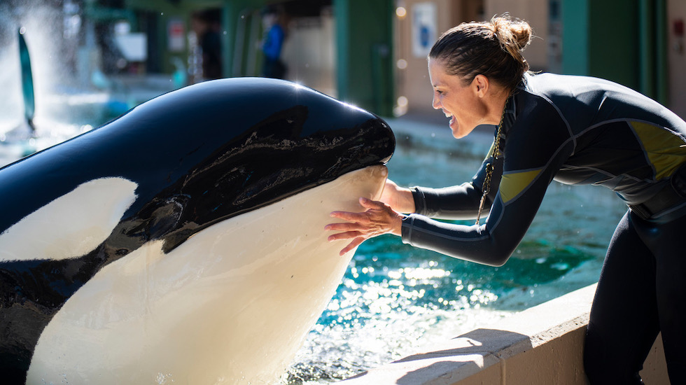 SeaWorld’s Inside Look returns for more behind-the-scenes experiences