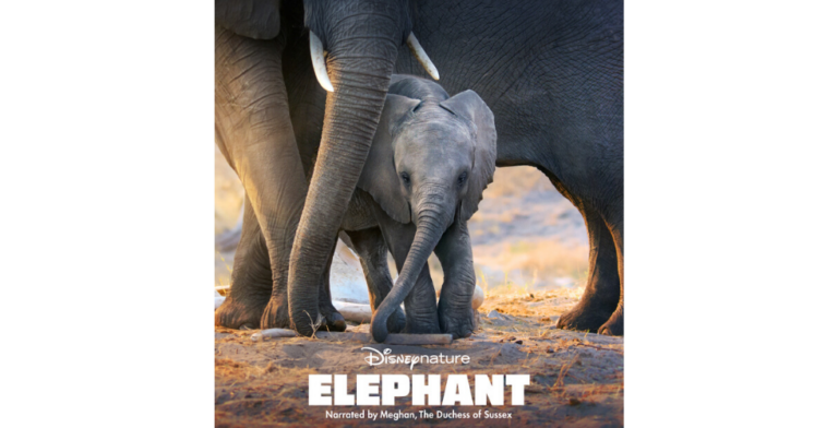 Disney+ celebrates Earth Month with release of new Disneynature films