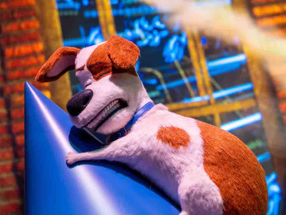 Go Behind The Scenes Of The Secret Life Of Pets Off The Leash