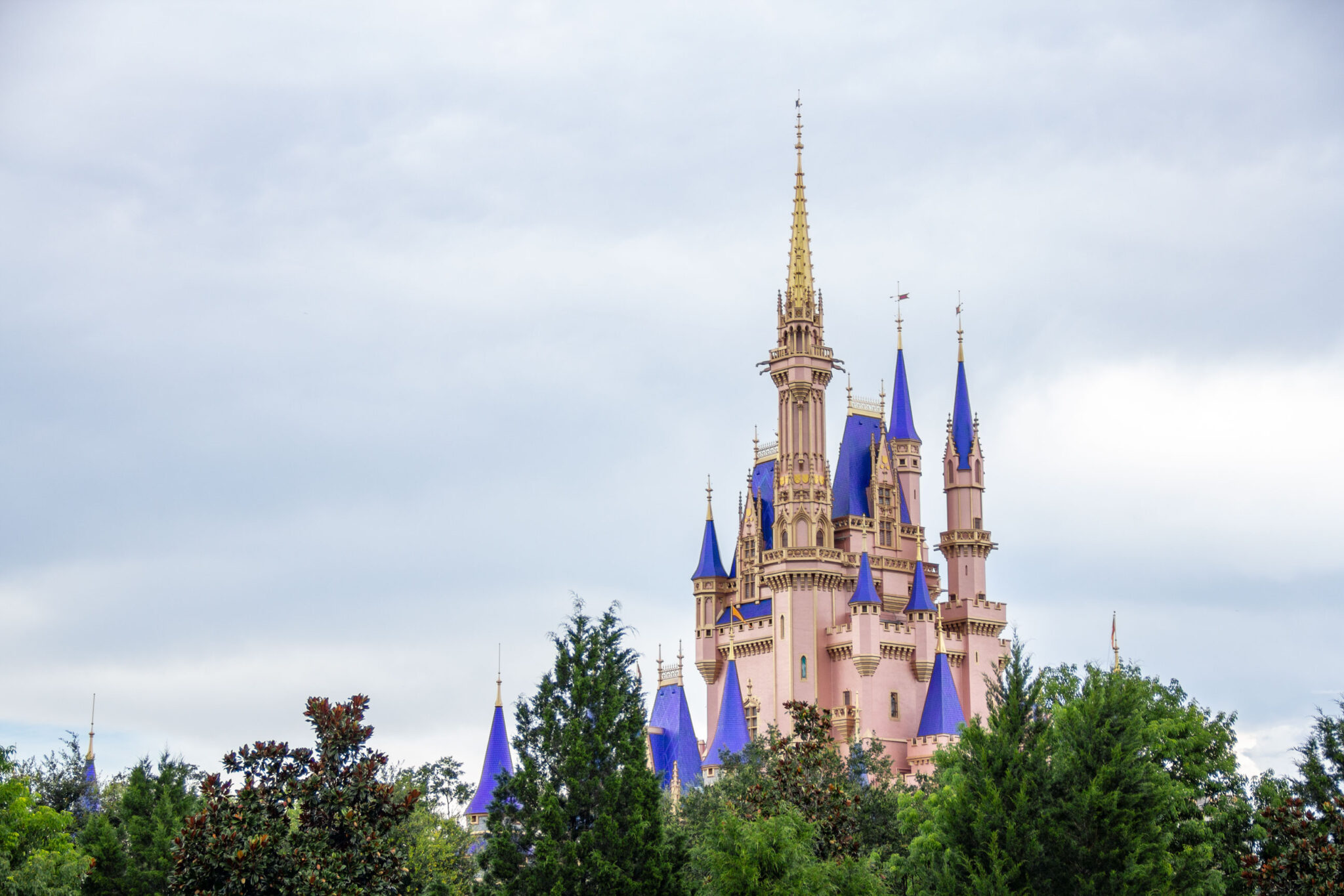 Disney Rosa Castle Take a close-up look at Cinderella Castle's rose gold update