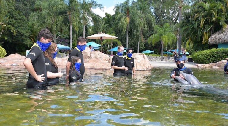 Our visit to Discovery Cove during the pandemic