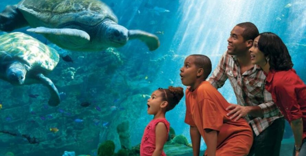 seaworld san diego military discount