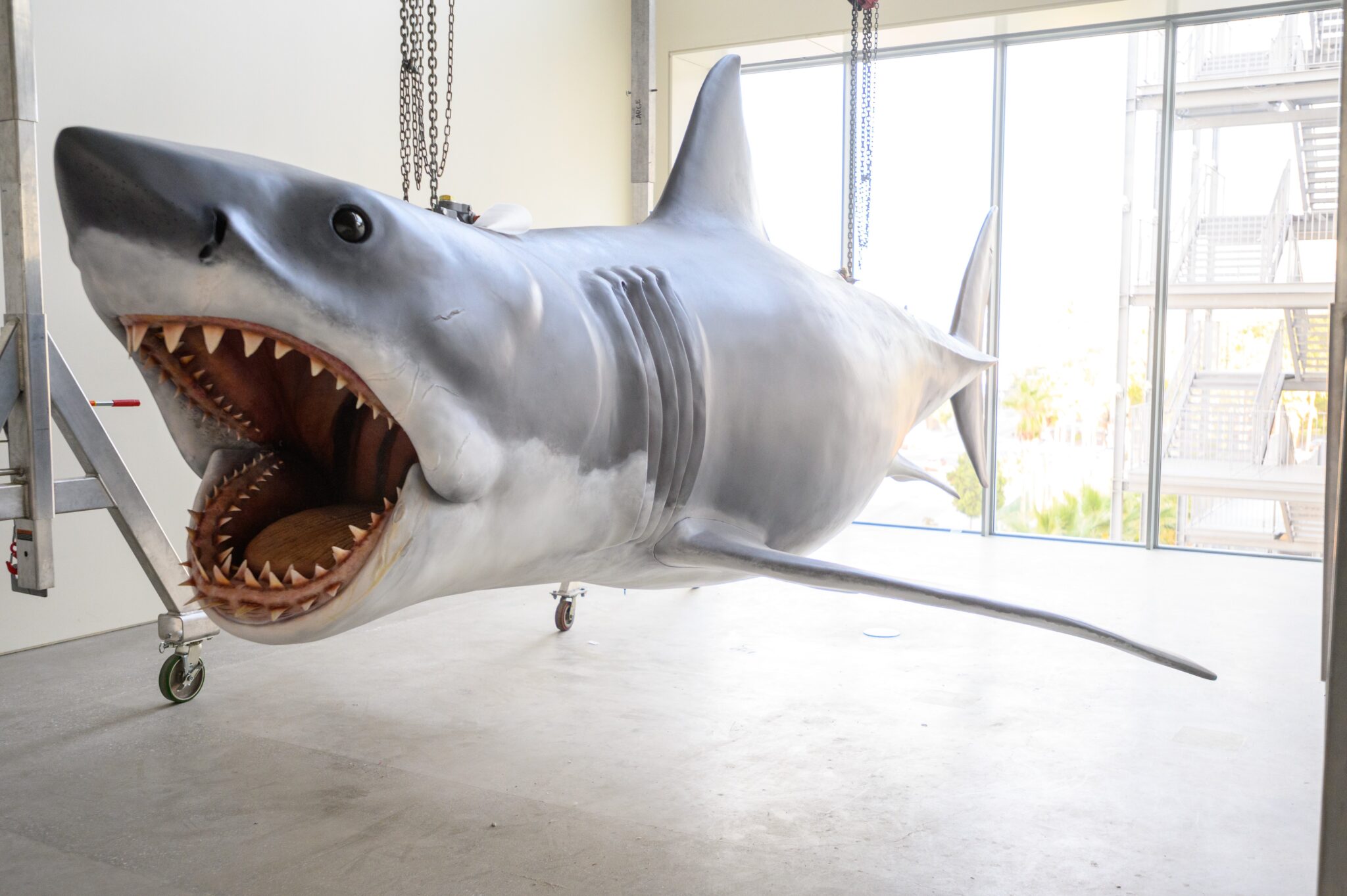 Academy Museum of Motion Pictures, Bruce the shark, Jaws