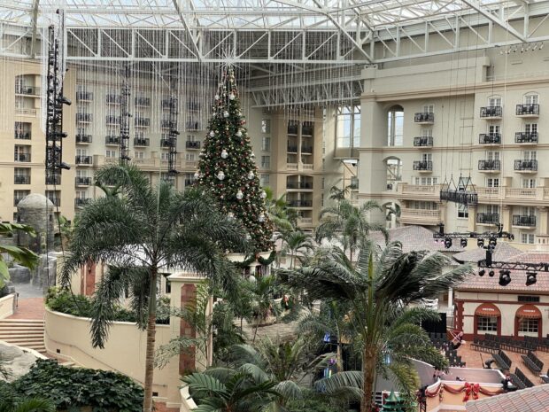 Gaylord christmas tree in atrium