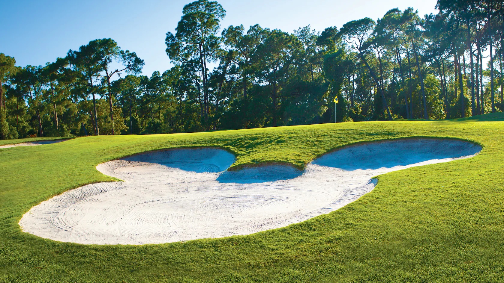 Have you had a holeinone at a Walt Disney World golf course?