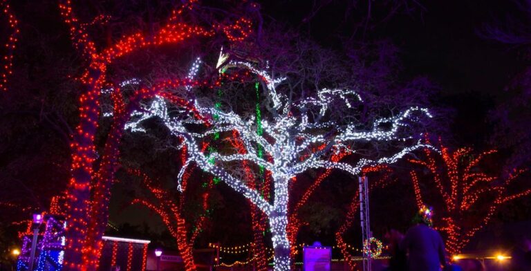 Six Flags Over Texas to host new Fire & Ice Festival