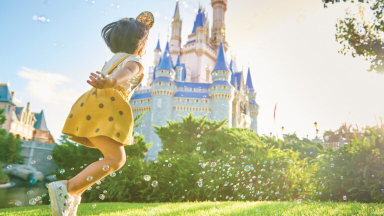 Florida Resident Discover Disney ticket now available for Walt Disney World