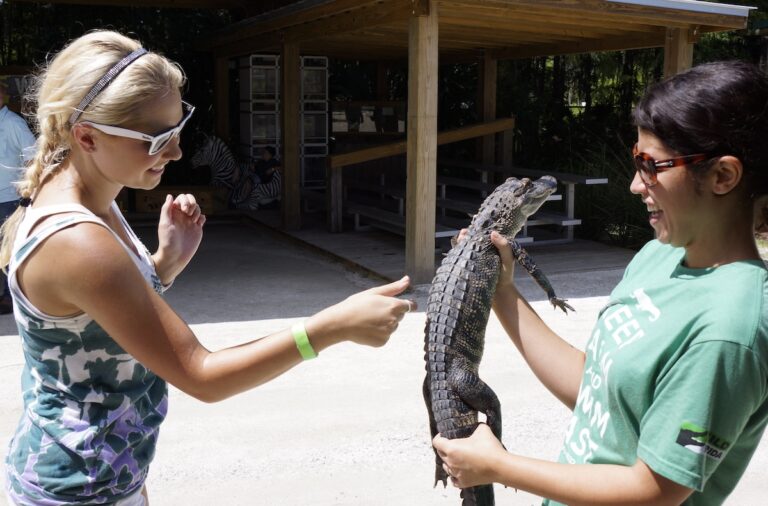 Wild Florida declares National Gator Day and National Airboat Day