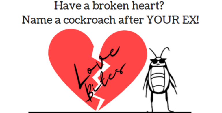 Zoo New York’s Valentine’s Day fundraiser invites you to name a cockroach after your ex