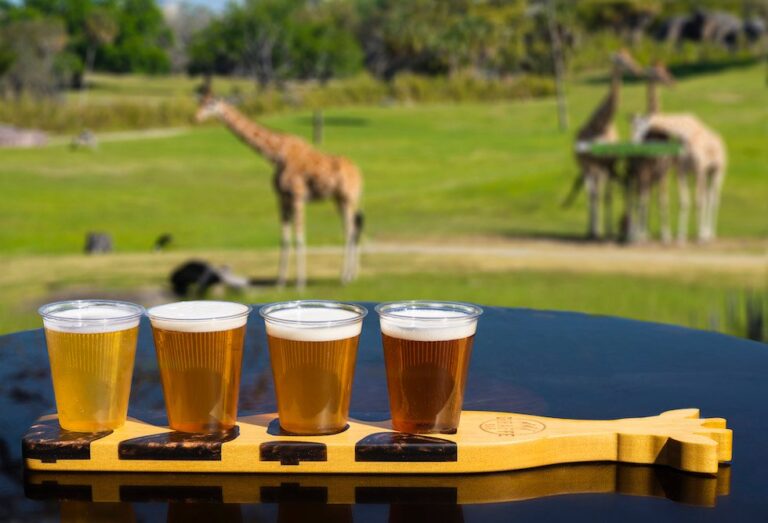 Busch Gardens Tampa opening Giraffe Bar with craft brews and animal views