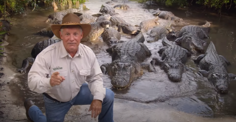 Gatorland shares safety tips as 2021 alligator breeding season begins