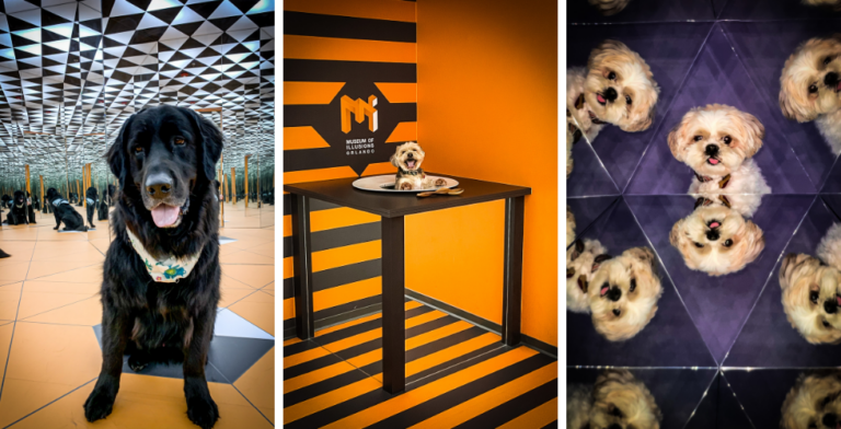 Museum of Illusions Orlando to host Puppy Paw-ty for Central Florida’s fur babies