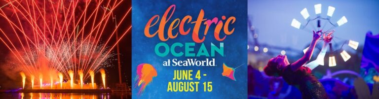 Electric Ocean brings summertime sizzle back to SeaWorld San Antonio