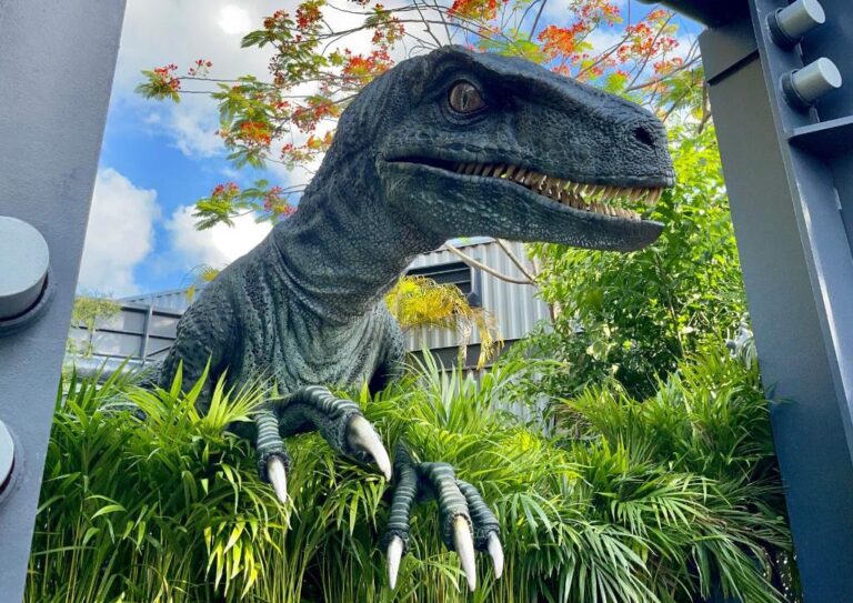 Bravo joins Blue at Jurassic World Raptor Encounter at Universal Orlando