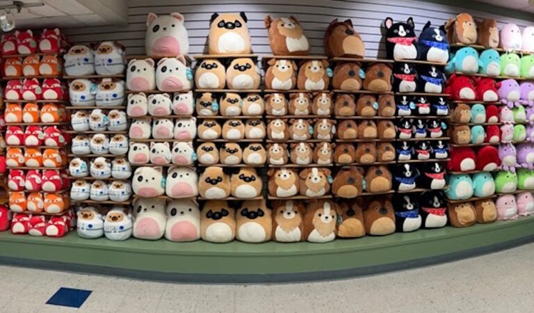 Squishmallow plush arrive at new store in Kings Island and online