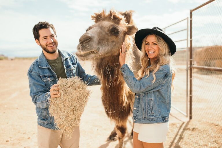 Camel Safari ranch offers 3 new ways to meet exotic desert animals