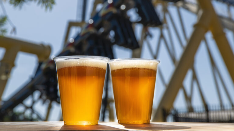 Free beer is back at Busch Gardens Tampa Bay for a limited time