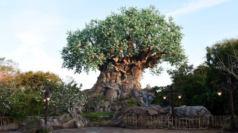 Tips for visiting Disney’s Animal Kingdom on a busy day