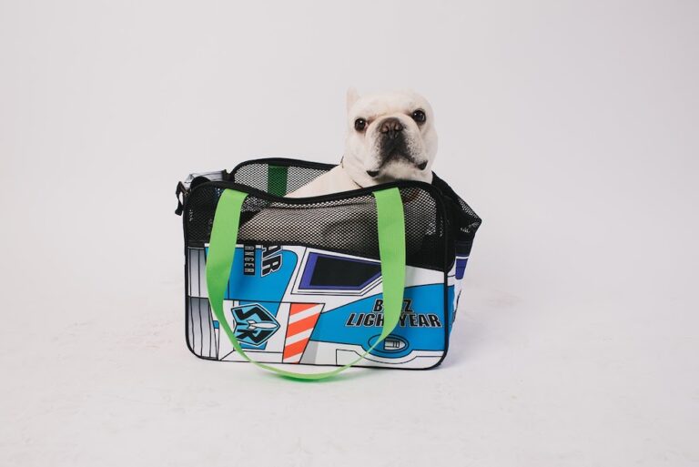 Buckle-Down releases new pet carriers inspired by pop culture vehicles