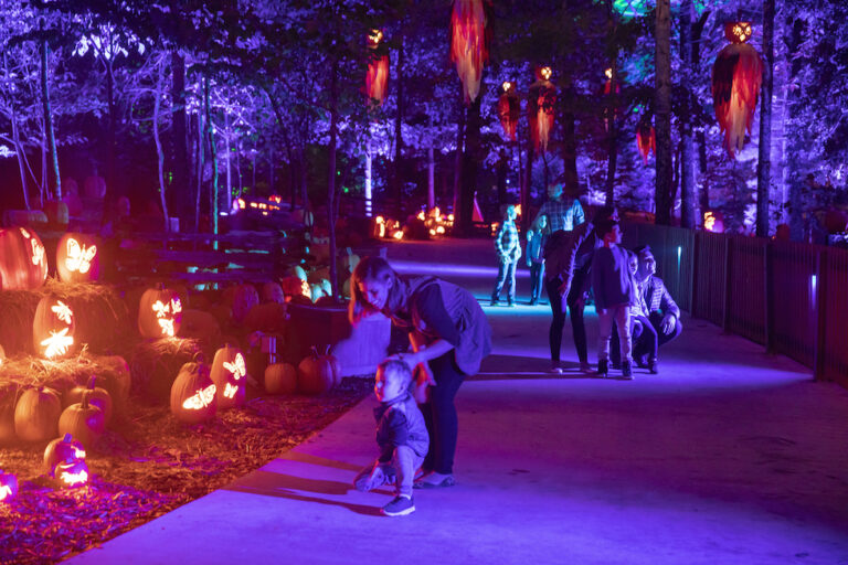 Silver Dollar City’s Harvest Festival 2021 shines brighter than ever