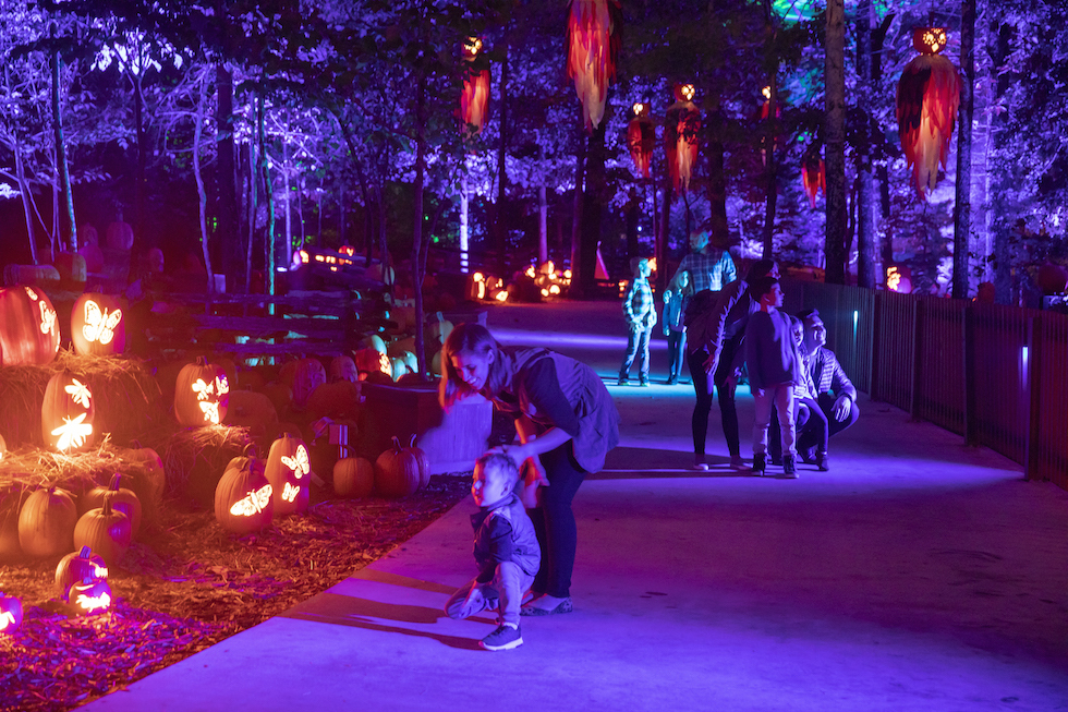 Silver Dollar City’s Harvest Festival 2021 shines brighter than ever