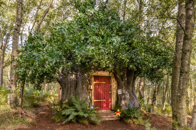 Disney fans can stay in Winnie the Pooh’s house in the Hundred Acre Wood