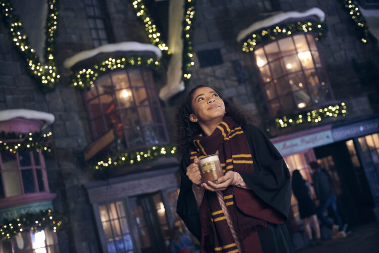 christmas in the wizarding world