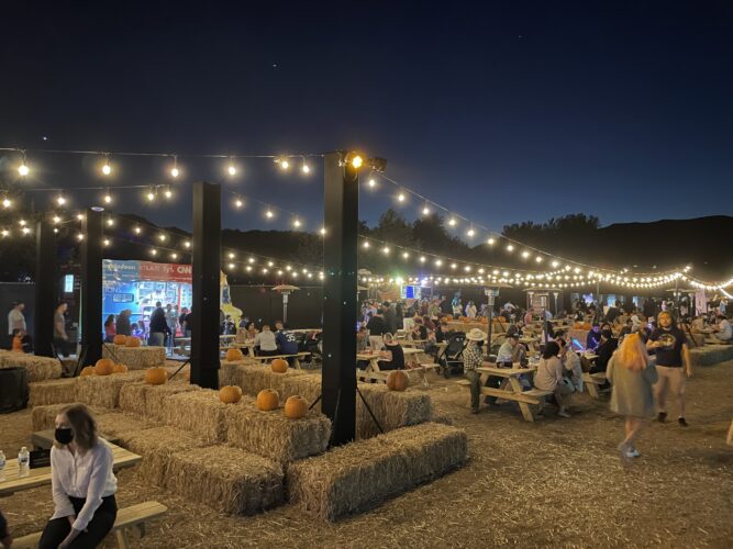 Photos Nights of the Jack is full of spooky Halloween family fun