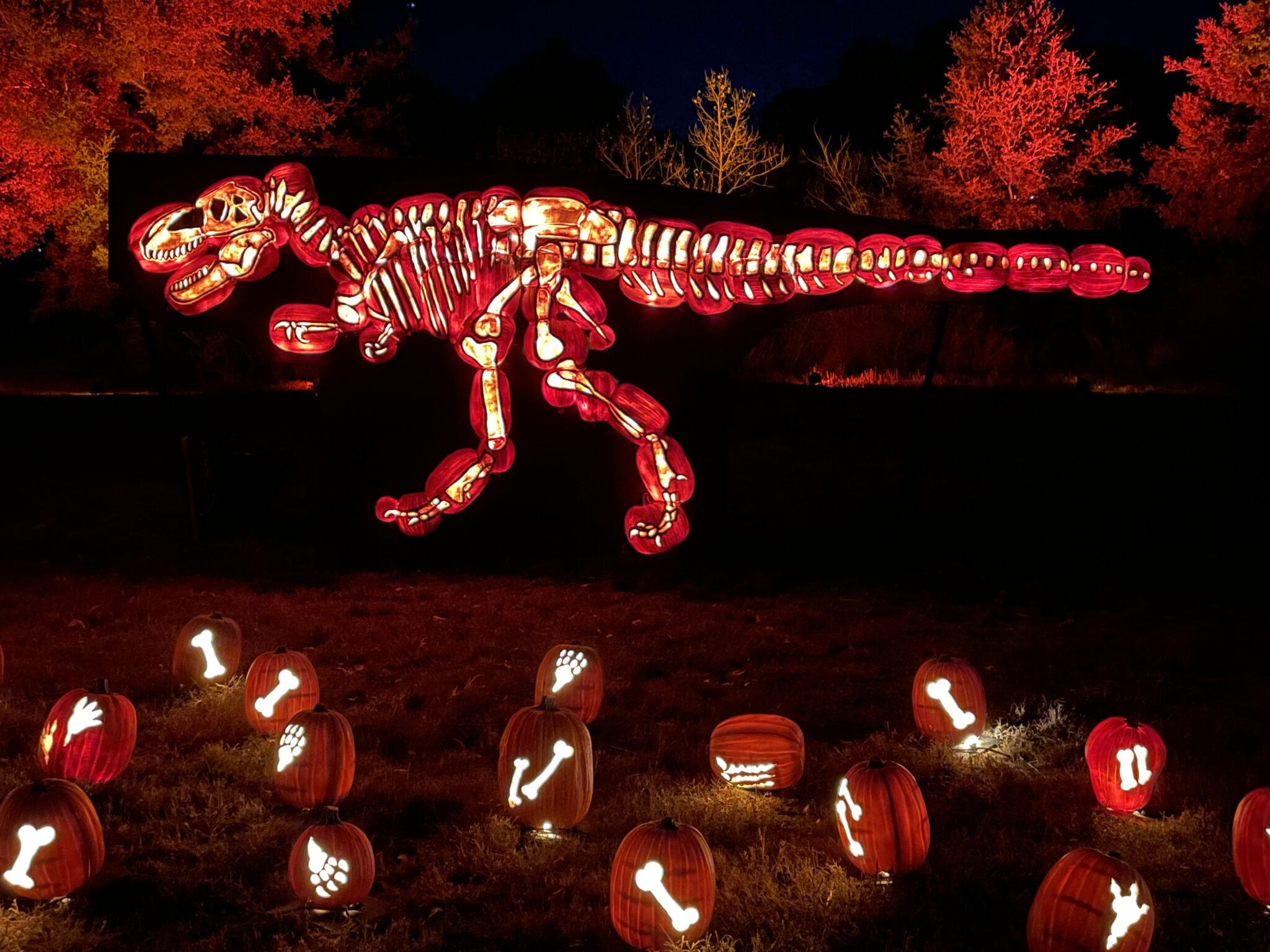 Photos: Nights of the Jack is full of spooky Halloween family fun
