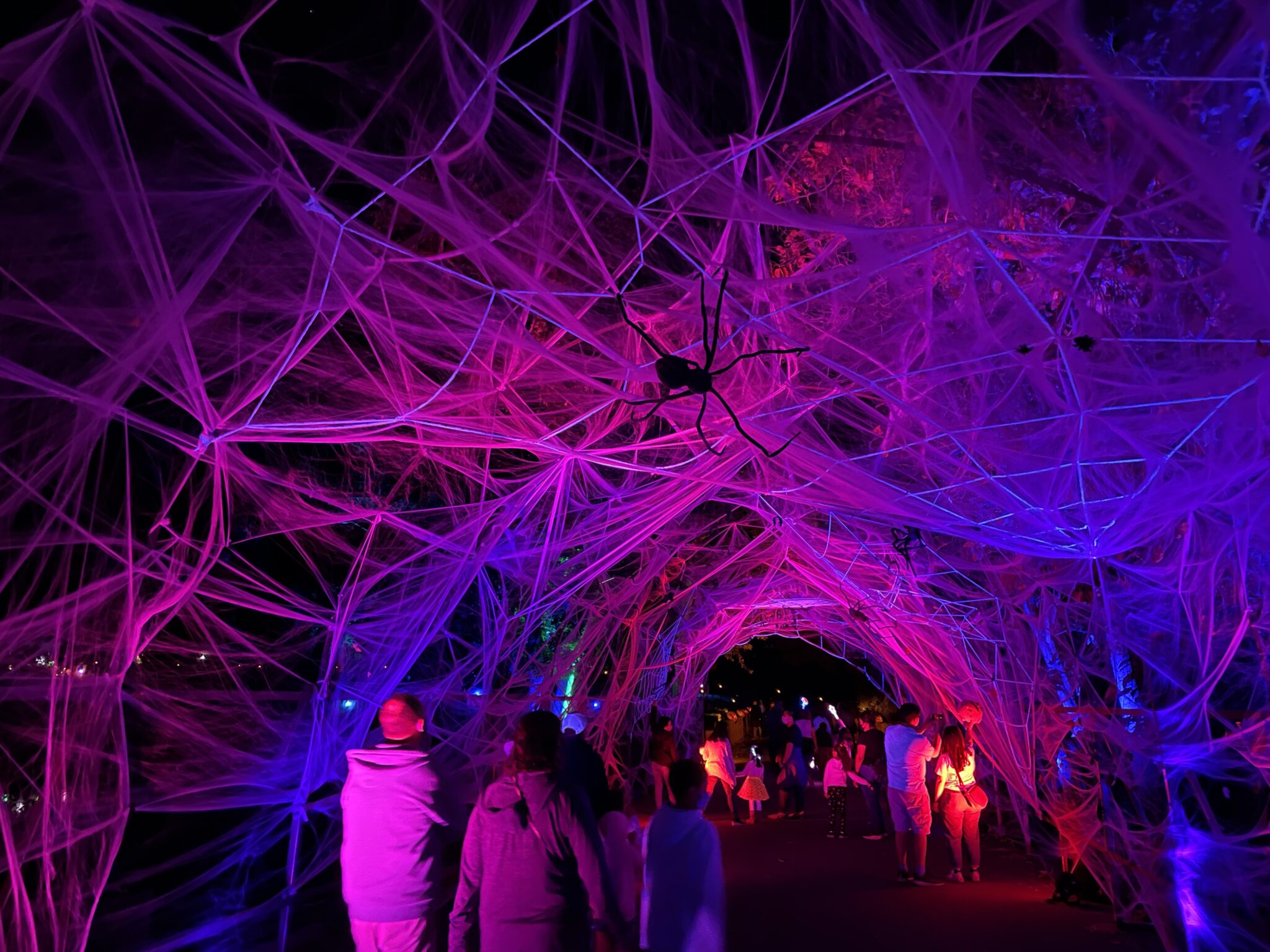 Photos Nights of the Jack is full of spooky Halloween family fun