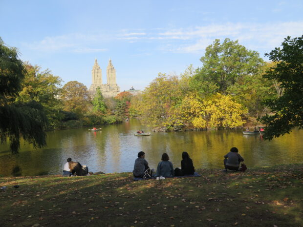 Top Attractions in New York City - Central park