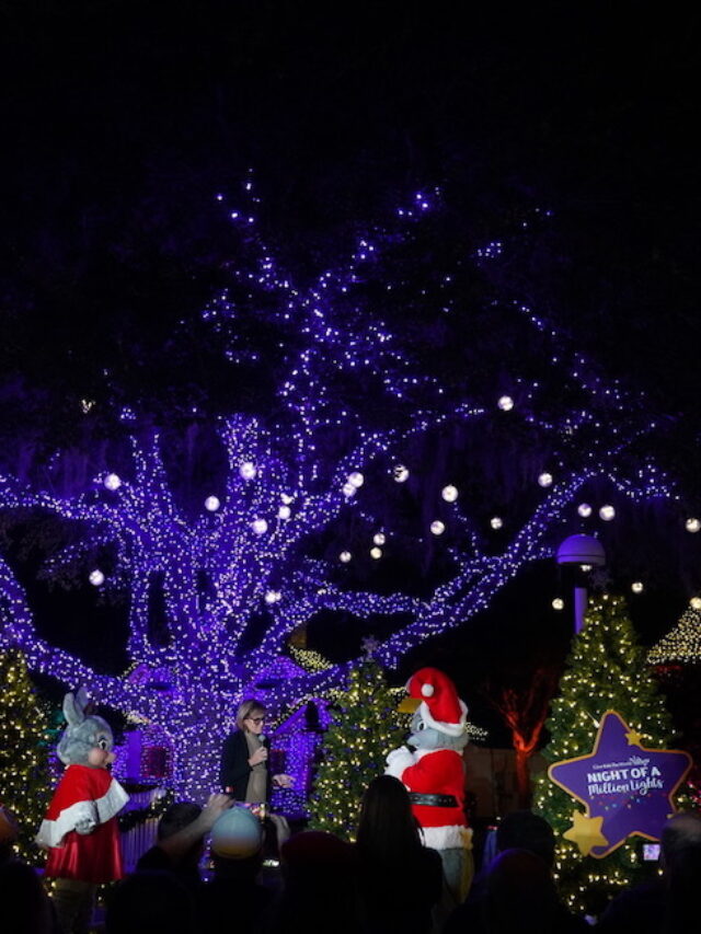 Give Kids the World’s Night of a Million Lights returns for second year Story